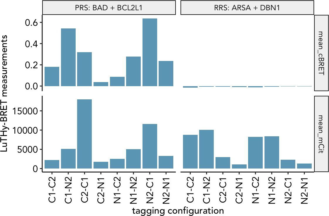 LuTHy-BRET results for one positive (BAD + BCL2L1) and one random (ARSA + DBN1) PPI